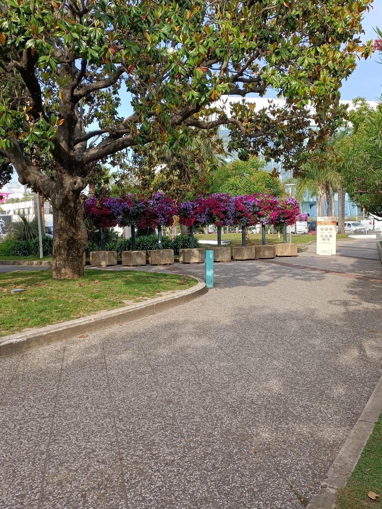 Appartement Gallieni à Cannes Extérieur photo